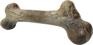 dinosaur dog bone 