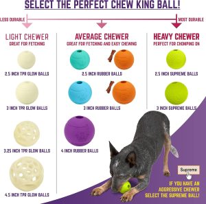 chew king fetch balls